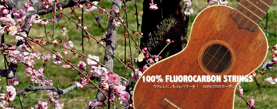 100% FLUOROCARBON STRINGS ウクレレに、もっとパワーを！ 100%フロロカーボン。