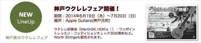 神戸ウクレレフェア開催!!