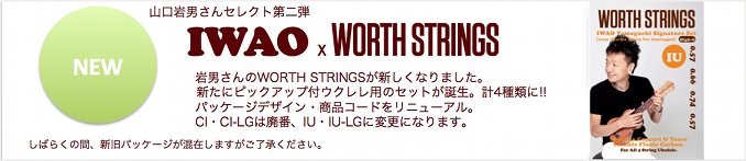 IWAO x WORTH STRINGS2